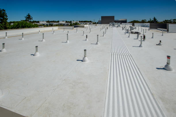 Best Rubber Roofing (EPDM, TPO)  in Coleraine, MN